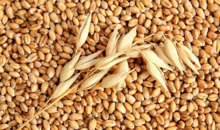 Ціни на ячмінь в портах знизились на 2 дол./т