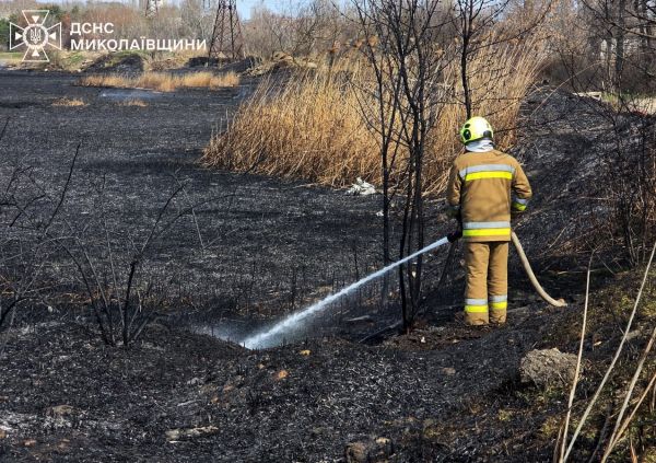 Величезна чорна пляма в парку: у Миколаєві за лічені хвилини вогонь знищив гектар рослинності
