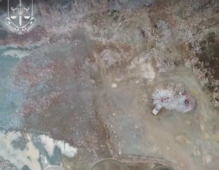 Схема на мільйони: на Закарпатті викрили незаконний видобуток стратегічного мінералу