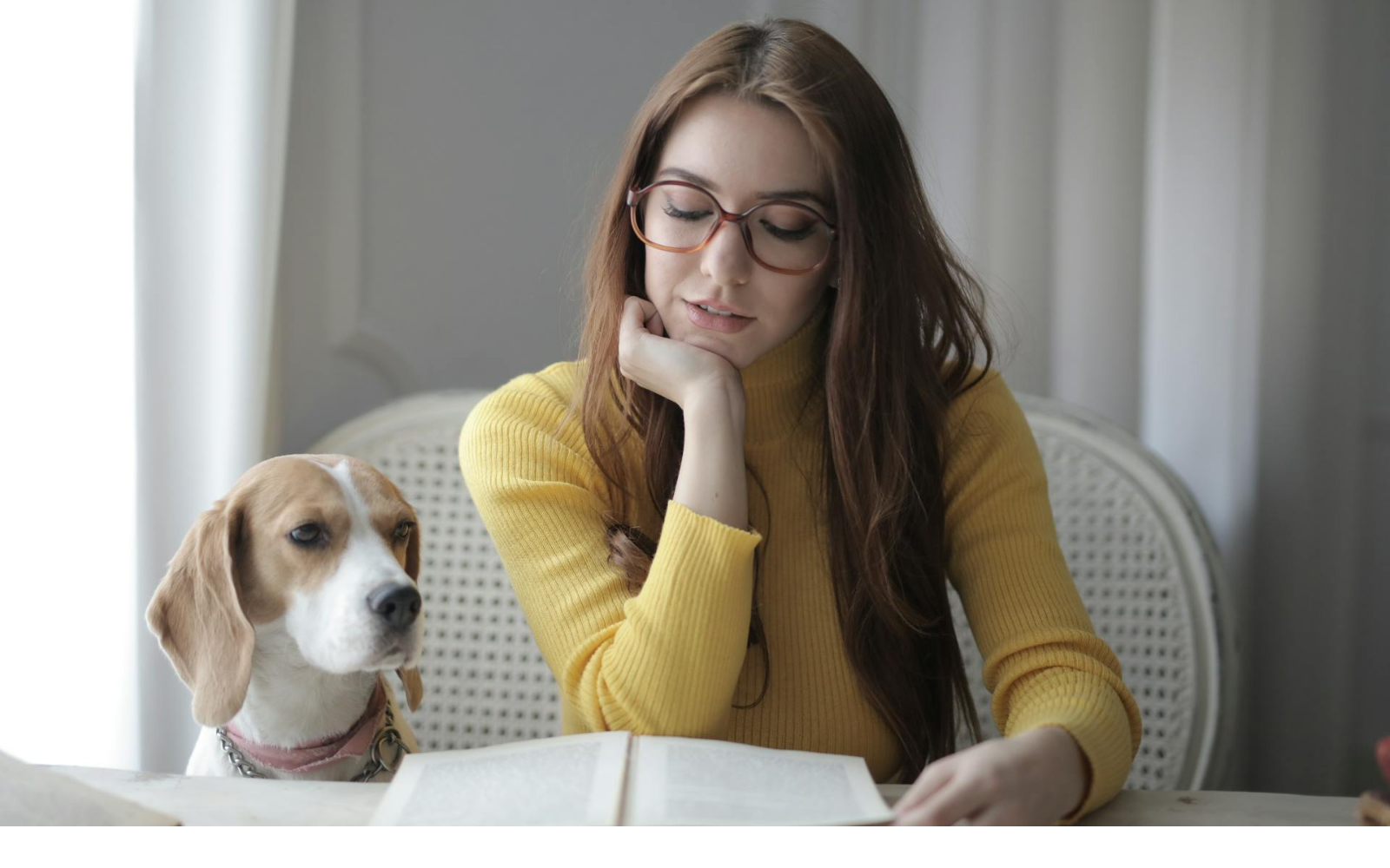 В українських школах проводитимуть уроки про гуманне ставлення до тварин