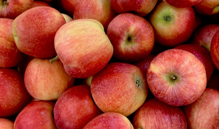 Ринок яблук чекає весняного пожвавлення