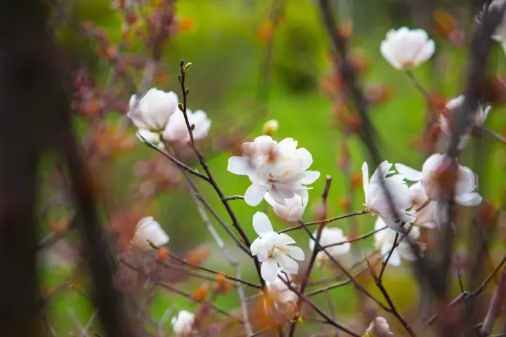 Уночі ще заморозки, але вдень вже відчутно теплішатиме - синоптики
