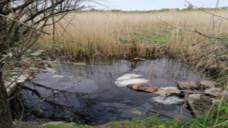 Вбив трьох людей і розчленував тіла: жителя Запоріжжя засудили до довічного