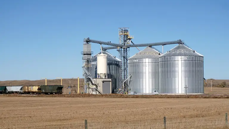 Україна втратить частину експорту зерна: новий прогноз USDA