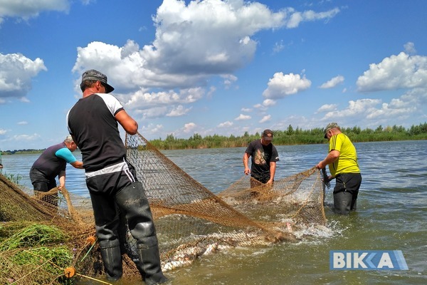 Іркліївський рибний розплідник готують до приватизації — Томенко