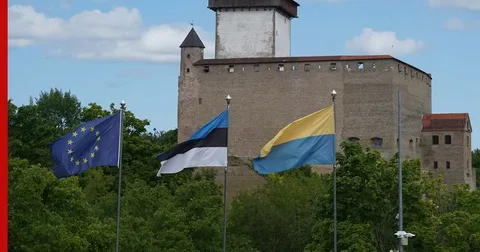 Влада Естонії зажадала від України більшого контролю над дронами