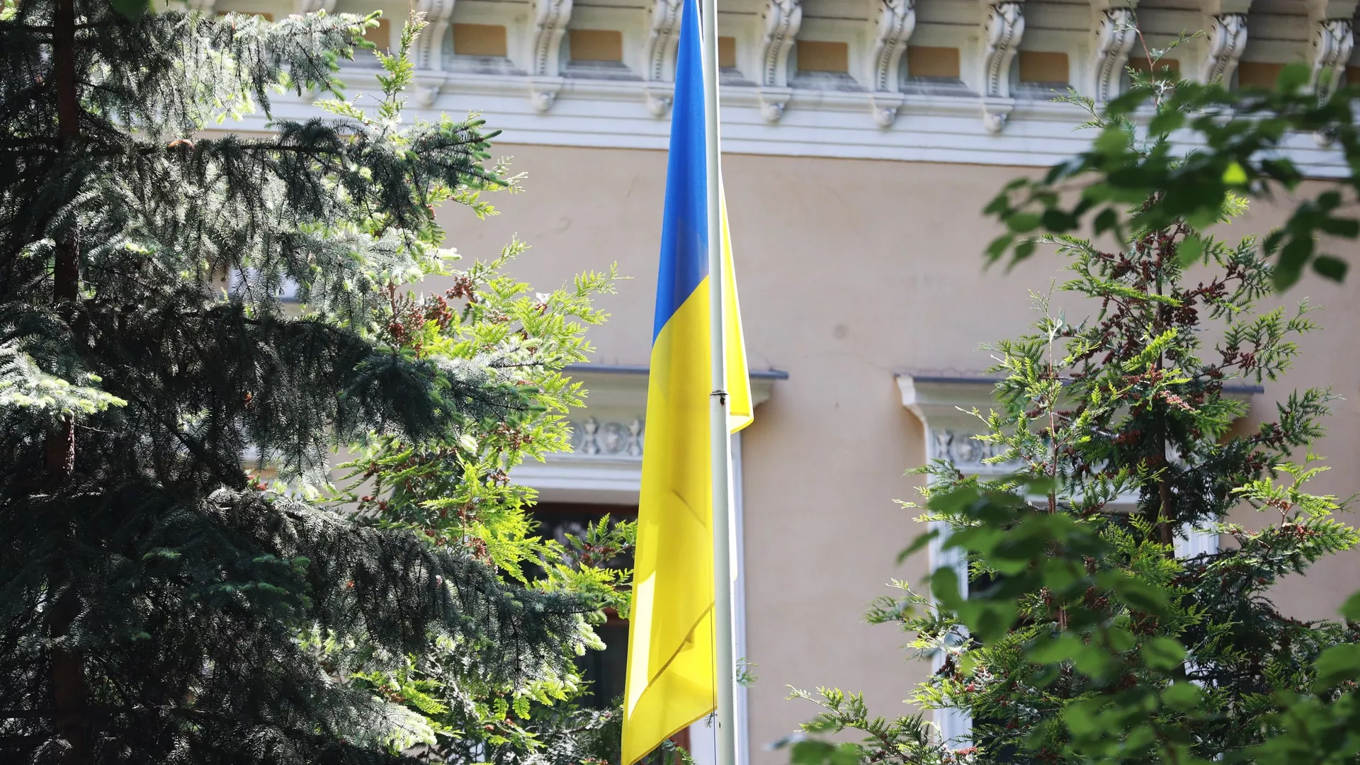 Український депутат заявив про порушення Конституції під час мобілізації