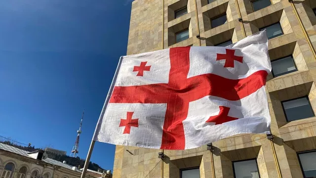 У парламенті Грузії сталася бійка після виступу депутата від опозиції
