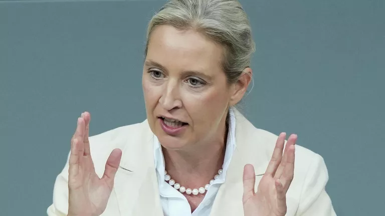 Лідер німецької АдН Вайдель назвала Мерца канцлером-брехуном