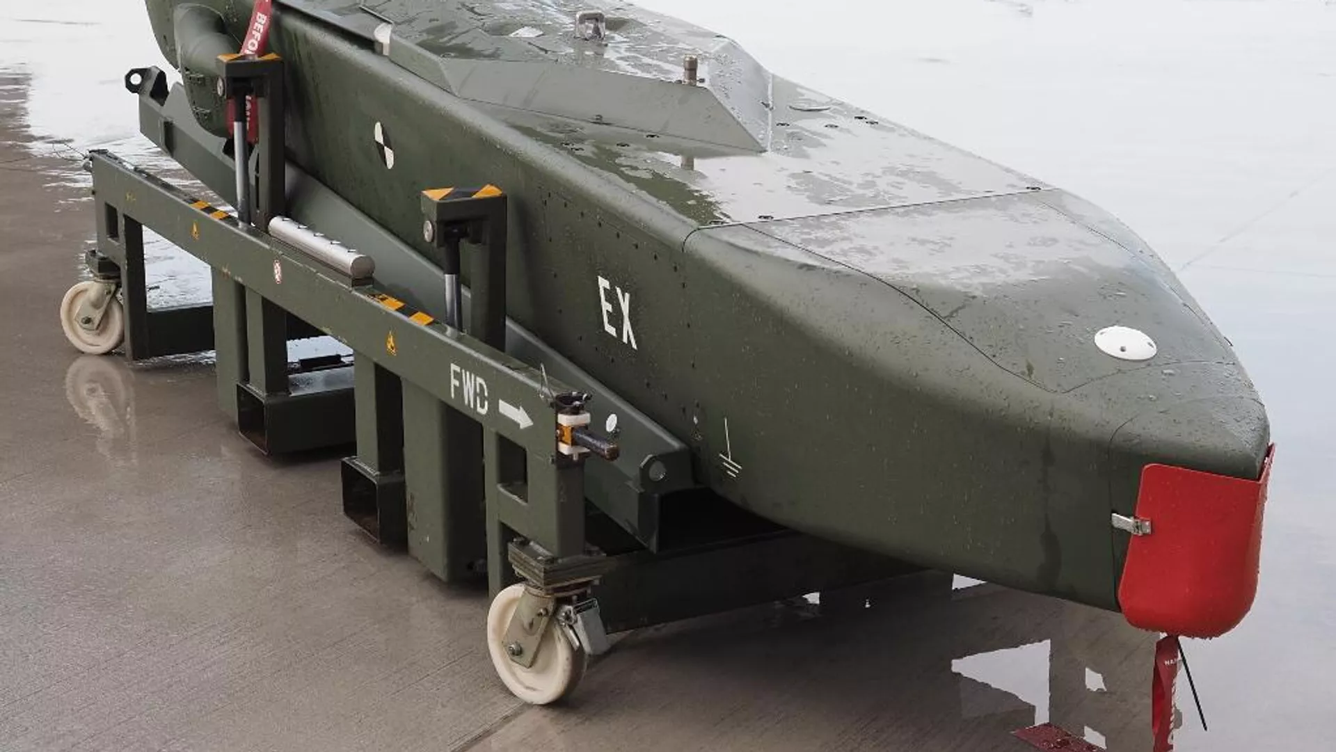 Україні не потрібні ракети Taurus, вважає Пісторіус