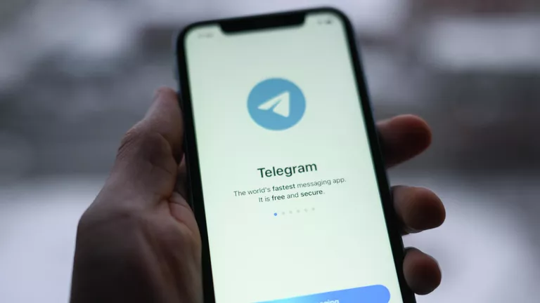 Влада Індії зажадала від Telegram вжити заходів по боротьбі з піратством