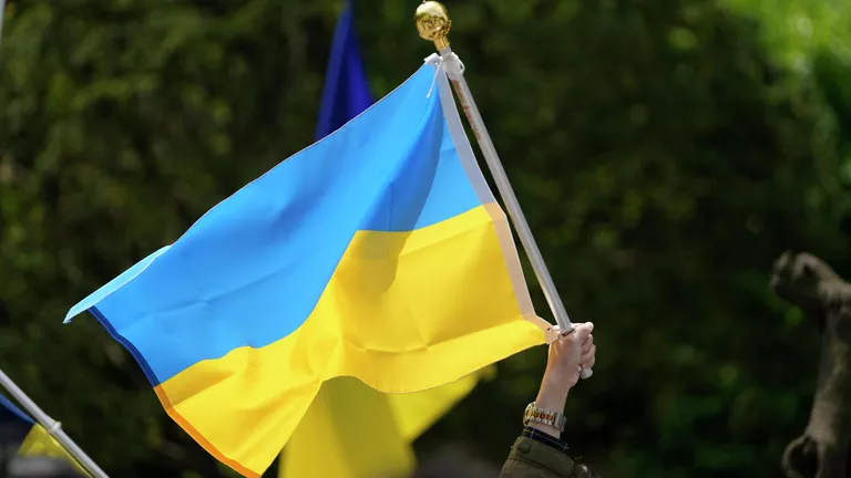 Естонський екс-міністр обурилася кількістю прапорів України в країні