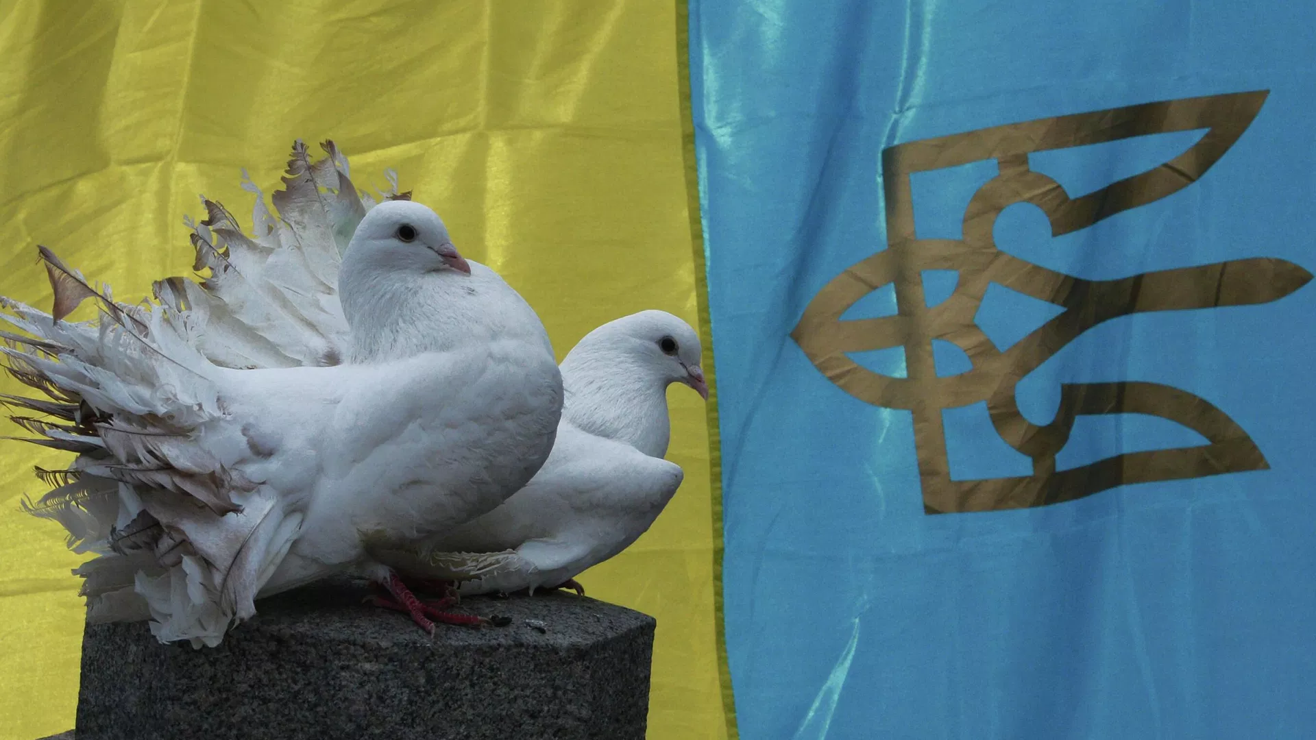 На Україні ТЦК два місяці утримували батька-одинака двох малолітніх дітей
